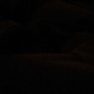 Meet your Posher, Dominic